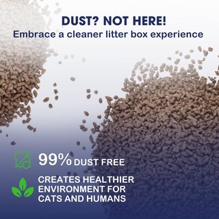 Foto 3 | Foto 3 | Arena Para Gatos Catfidence Bambú Orgánico Sin Perfume 3 2 Kg - Venta Internacional.