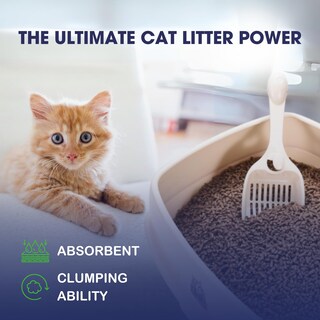 Foto 5 | Foto 5 | Arena Para Gatos Catfidence Bambú Orgánico Sin Perfume 3 2 Kg - Venta Internacional.