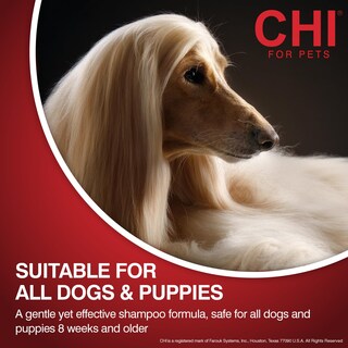 Foto 5 | Foto 5 | Champú Hidratante Para Perros Chi For Dogs Deep Moisture - Venta Internacional.