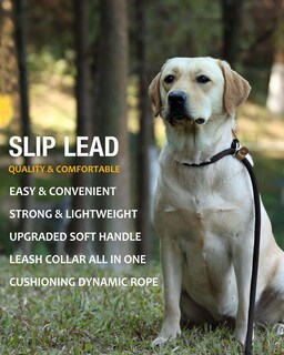 Foto 4 | Foto 4 | Correa Para Perro Correa Con Cierre A Presión Linchamiento - Venta Internacional.