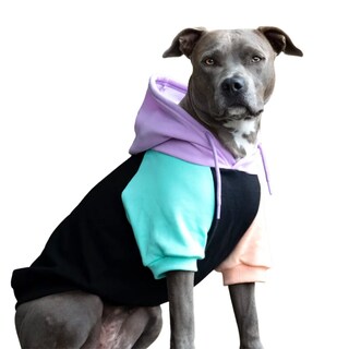 Foto 1 | Foto 1 | Sudadera Con Capucha Para Perro Spark Paws Cyber Punk Premium Quality 3xl - Venta Internacional.