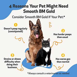 Foto 2 | Foto 2 | Suplemento Pet Wellbeing Smooth Bm Gold Para Perros Y Gatos - Venta Internacional.