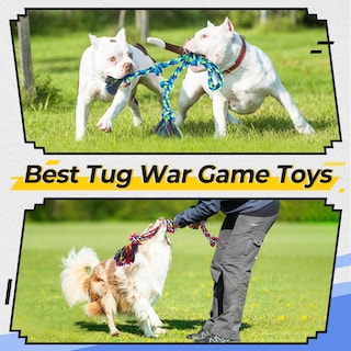 Foto 4 | Foto 4 | Juguetes De Cuerda Para Perros Eefitoys Resistentes Para Masticadores Agresivos - Venta Internacional.