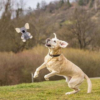 Foto 6 | Foto 6 | Juguete De Peluche Dog Toys Blnboimrun Koala Squeaky Para Perros - Venta Internacional.