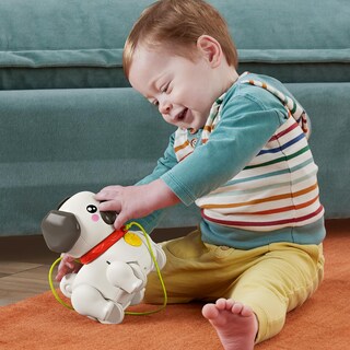 Foto 3 | Foto 3 | Juguete Push Pull Fisher-price Walk The Pug Durante Más De 12 Meses - Venta Internacional.