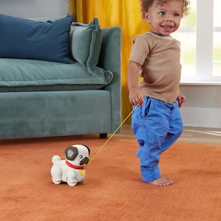 Foto 4 | Foto 4 | Juguete Push Pull Fisher-price Walk The Pug Durante Más De 12 Meses - Venta Internacional.
