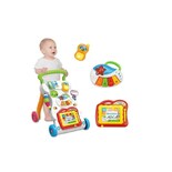 Baby Musical Walker Run Acores Con Contenedor De Arena - Venta Internacional.