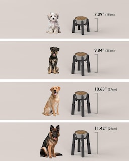 Foto 5 | Foto 5 | Soporte Para Cuencos Para Perros Pet Raised Bowl Czpet Acero Inoxidable 1 5 L (paquete De 2) - Venta Internacional.