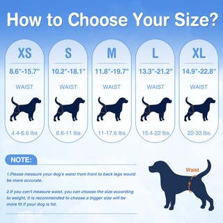 Foto 2 | Foto 2 | Pañales Desechables Ambreview Para Perros Hembra Xl (30 Unidades) - Venta Internacional.