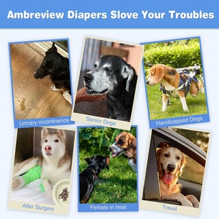 Foto 6 | Foto 6 | Pañales Desechables Ambreview Para Perros Hembra Xl (30 Unidades) - Venta Internacional.