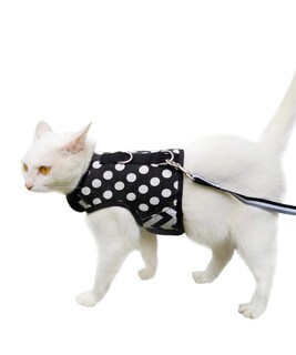 Foto 1 | Foto 1 | Set De Arnés Y Correa Para Gatos Yizhi Miaow Ajustable Con Lunares - Venta Internacional.