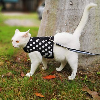 Foto 6 | Foto 6 | Set De Arnés Y Correa Para Gatos Yizhi Miaow Ajustable Con Lunares - Venta Internacional.