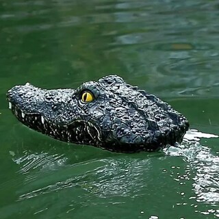 Foto 5 | Foto 5 | Juguete Eléctrico De Cocodrilo Con Simulación Stqc De Barco A Control Remoto - Venta Internacional.