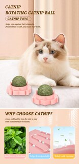 Foto 5 | Foto 5 | Juego De 3 Juguetes Catnip Ball Para Higiene Dental De Gatos Soporte De Pared - Venta Internacional.