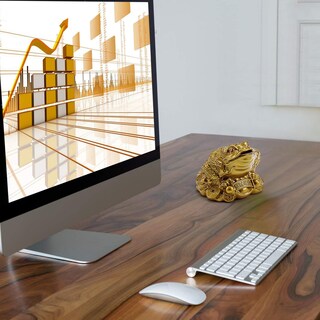 Foto 3 | Foto 3 | Money Frog Wschic Decorativo De Feng Shui Para Atraer Riqueza - Venta Internacional.