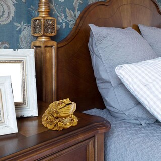 Foto 6 | Foto 6 | Money Frog Wschic Decorativo De Feng Shui Para Atraer Riqueza - Venta Internacional.