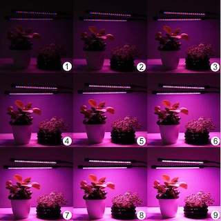 Foto 2 | Foto 2 | Lámpara Led Para Cultivo De Plantas Hidropónicas Bloom Flower Head - Venta Internacional.