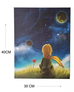 Foto 2 | Foto 2 | Kit De Pintura Con Diamantes Chile Little Prince 30 X 40 Cm Con Herramientas - Venta Internacional.