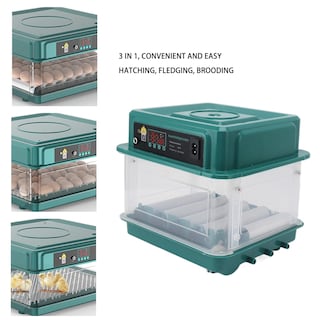 Foto 5 | Foto 5 | Incubadora De Huevos Gloglow Pequeña Incubadora Automática Para Aves De Corral 12 Huevos - Venta Internacional.