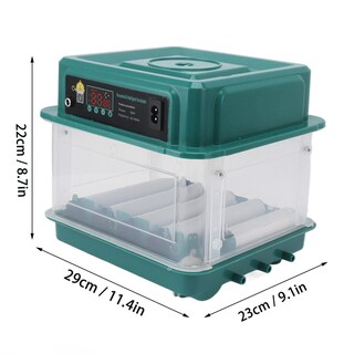 Foto 6 | Foto 6 | Incubadora De Huevos Gloglow Pequeña Incubadora Automática Para Aves De Corral 12 Huevos - Venta Internacional.