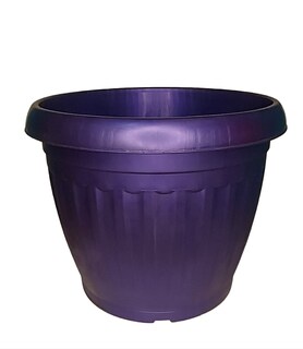 Foto 2 | Foto 2 | Paquete De Macetas De 50 X 6 5 Cm De Diámetro Para Decoración De Suculentas - Venta Internacional.