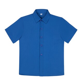 Foto 1 | Foto 1 | Camisa Visaccy Para Niños De Manga Corta Con Botones Azul Real 14 Años - Venta Internacional.