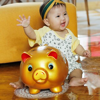 Foto 2 | Foto 2 | Caja Ahorradora De Monedas De Cerámica Con Forma De Cerdo Dorado De Piggy Bank Myyingbin - Venta Internacional.