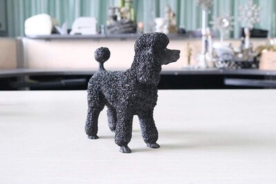 Foto 3 | Foto 3 | Estatuas Al Aire Libre Cshsu Simulación De Perro Caniche Manualidades De Resina - Venta Internacional.