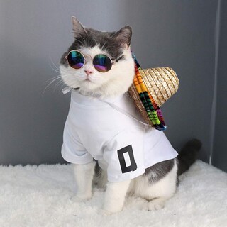Foto 3 | Foto 3 | Sombrero Para Mascotas Pequeñas Bettli Tejido En Paja Para Perros Y Gatos - Venta Internacional.