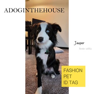 Foto 2 | Foto 2 | Etiquetas De Identificación Adoginthehouse 316 De Acero Inoxidable Quirúrgico Para Mascotas - Venta Internacional.