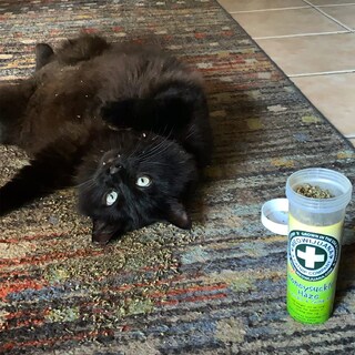 Foto 7 | Foto 7 | Paquetes De Botellas Catnip Toy Y Catnip Blend Meowijuana - Venta Internacional.