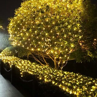 Foto 4 | Foto 4 | Luces Navideñas Led Net Mesh Sister - Venta Internacional.