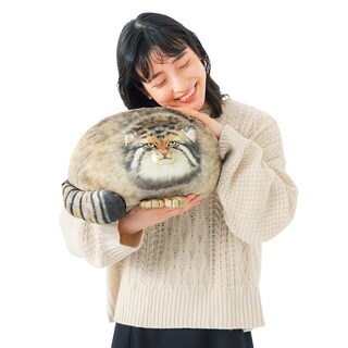 Foto 4 | Foto 4 | Peluche Sew Butiful Steppe Cat De 35 Cm Para Niños - Venta Internacional.