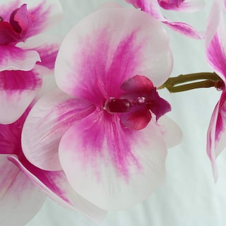 Foto 2 | Foto 2 | Flores Artificiales Jasming Phaleanopsis Orquídeas Rosas (60 Cm) - Venta Internacional.