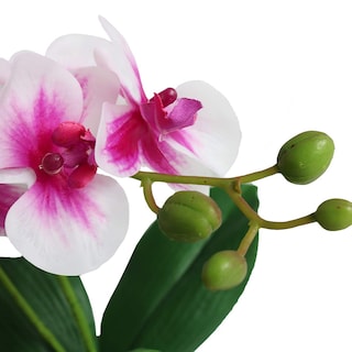 Foto 3 | Foto 3 | Flores Artificiales Jasming Phaleanopsis Orquídeas Rosas (60 Cm) - Venta Internacional.