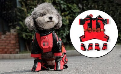 Foto 4 | Foto 4 | Disfraz De Perro Kakufunny Deluxe Superdog Superhero Christmas - Venta Internacional.