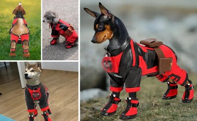 Foto 5 | Foto 5 | Disfraz De Perro Kakufunny Deluxe Superdog Superhero Christmas - Venta Internacional.