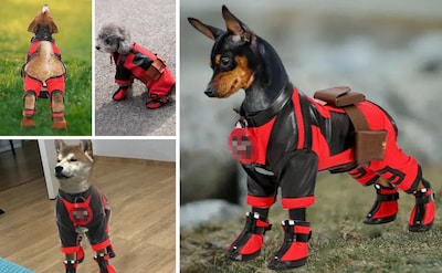 Foto 5 | Foto 5 | Disfraz De Perro Kakufunny Deluxe Superdog Superhero Christmas - Venta Internacional.