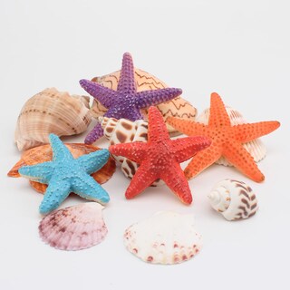Foto 2 | Foto 2 | Adornos Decorativos Artesanales Con Forma De Estrella De Mar Wonwontoys Para Niños De 7 62 Cm 4 Unidades - Venta Internacional.