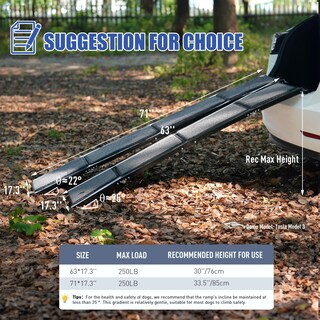Foto 4 | Foto 4 | Rampa Para Perros Bacoeng 160 Cm De Largo Y 43 Cm De Ancho Plegable Para Coche - Venta Internacional.
