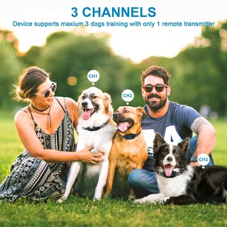 Foto 5 | Foto 5 | Collar De Adiestramiento Para Perros Megwr Shock Con Mando A Distancia Paquete De 2 2500 Pies - Venta Internacional.