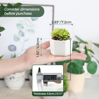 Foto 2 | Foto 2 | Macetas T4u Pequeñas Con Forma De Hexágono De Cerámica Blanca Para Suculentas Juego De 4 Unidades - Venta Internacional.