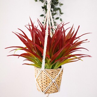 Foto 3 | Foto 3 | Planta De Césped Artificial Dehoxara Resistente A Los Rayos Uv  24 Unidades  Color Rojo Rosa - Venta Internacional.