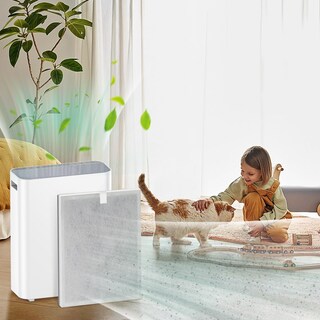 Foto 6 | Foto 6 | Filtro De Aire De Repuesto Pinrek H7123101/h211/h211s X2 Para Govee Life H712301 Y Homvana - Venta Internacional.