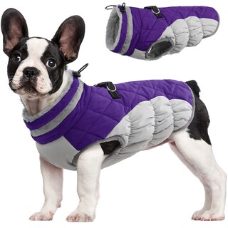 Foto 1 | Foto 1 | Abrigo Para Perro Fuamey Impermeable Resistente Al Viento Color Morado Xs - Venta Internacional.