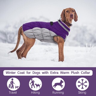 Foto 3 | Foto 3 | Abrigo Para Perro Fuamey Impermeable Resistente Al Viento Color Morado Xs - Venta Internacional.