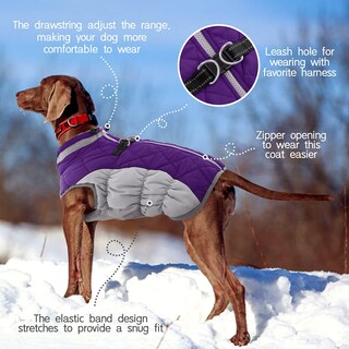 Foto 4 | Foto 4 | Abrigo Para Perro Fuamey Impermeable Resistente Al Viento Color Morado Xs - Venta Internacional.