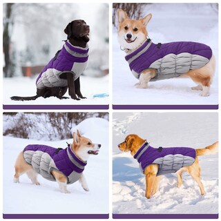 Foto 7 | Foto 7 | Abrigo Para Perro Fuamey Impermeable Resistente Al Viento Color Morado Xs - Venta Internacional.