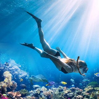 Foto 2 | Foto 2 | Set De Esnórquel Para Adultos Littlejsy Dry-top De Snorkeling Gear - Venta Internacional.