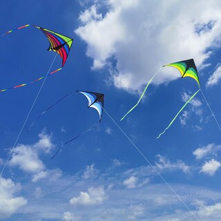 Foto 6 | Foto 6 | Paquete De 3 Unidades Colorful Life Delta De Kite Mint Para Niños Y Adultos - Venta Internacional.